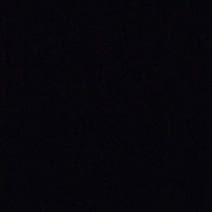 Meet your Posher, Joey